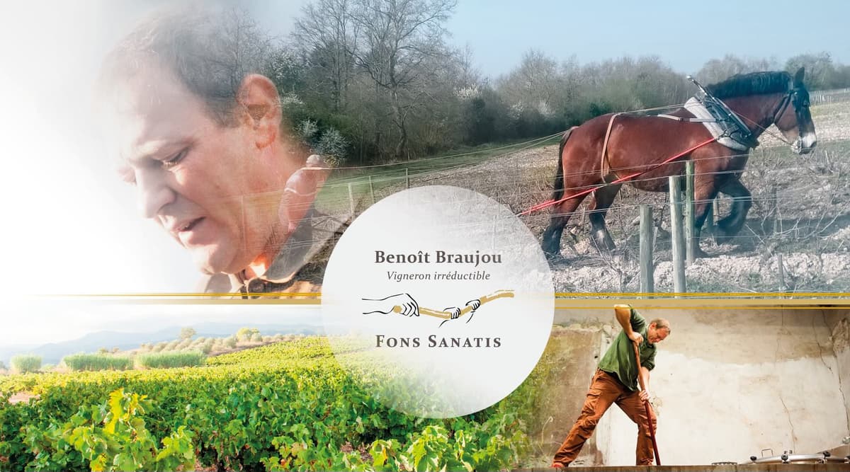 DÉGUSTATION DU DOMAINE FONS SANATIS